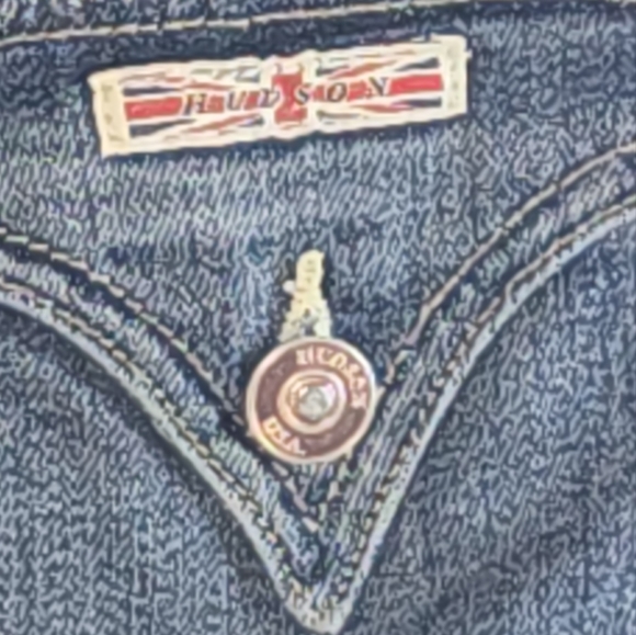 Hudson Short Shorts - Picture 3 of 9